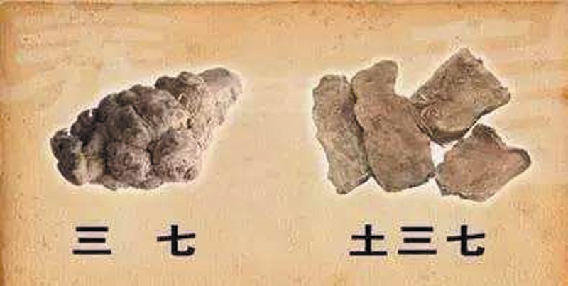 四二三七是何处,重振雄风三二开是什么生肖详细解答、详细解答解释落实
