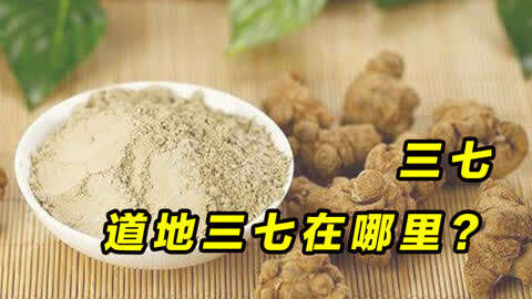 四二三七是何处,重振雄风三二开是什么生肖详细解答、详细解答解释落实